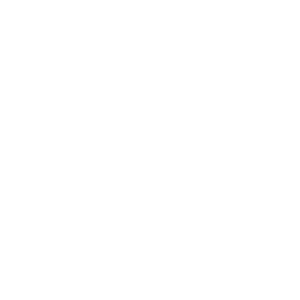 #03