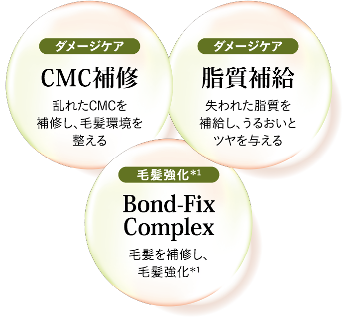 ダメージケア：CMC補修（乱れたCMCを補修し、毛髪環境を整える）×ダメージケア：脂質補給（失われた脂質を補給し、うるおいとツヤを与える）×毛髪強化：Bond-Fix Complex（毛髪を補修し、毛髪強化）