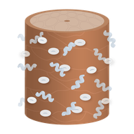 リペアメント使用時にBond成分とFix成分が結びつく様子のイラスト