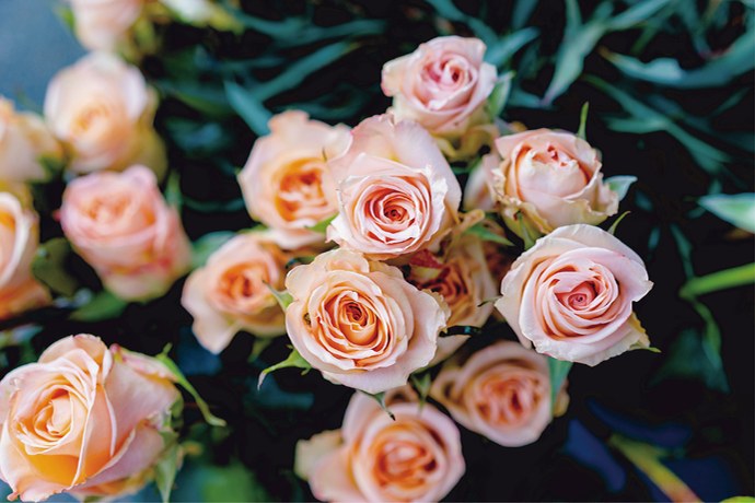 淡いピンクのバラの花束（香りのイメージ写真）