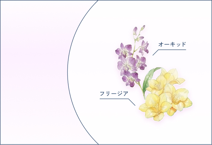 フリージア ラン