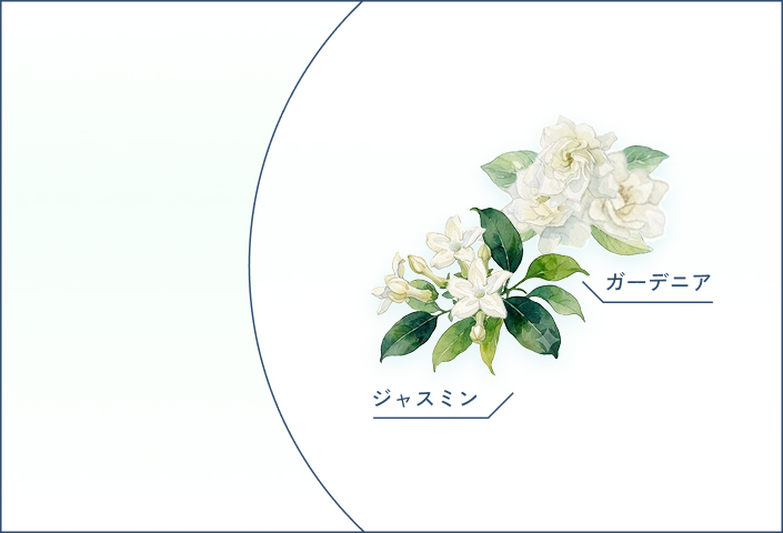 クチナシ ジャスミン