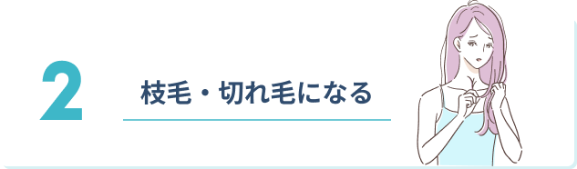2 枝毛・切れ毛になる